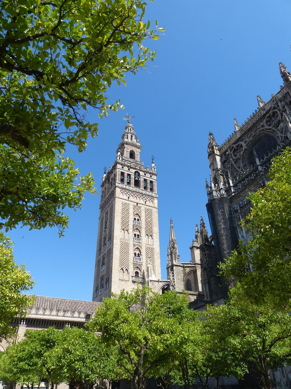 Excursión a la Giralda y catedral de Sevilla