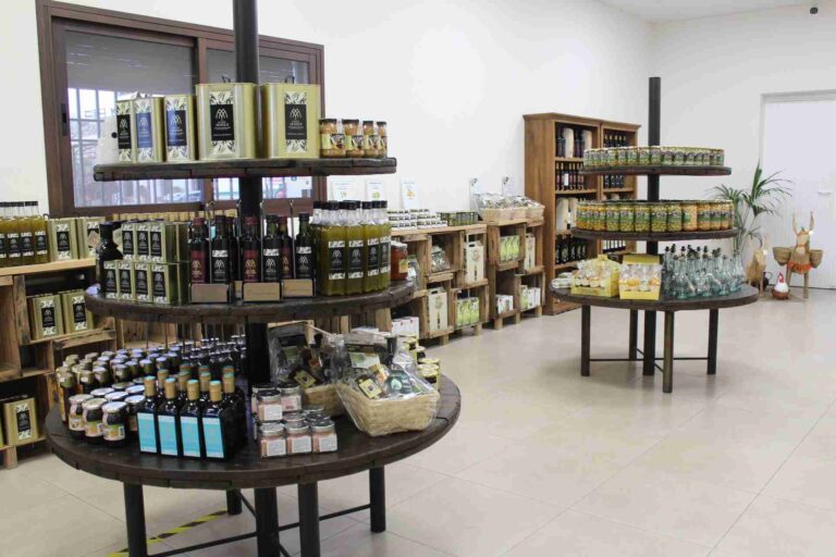 molino aceitero molisur visita guiada 1 1 768x512
