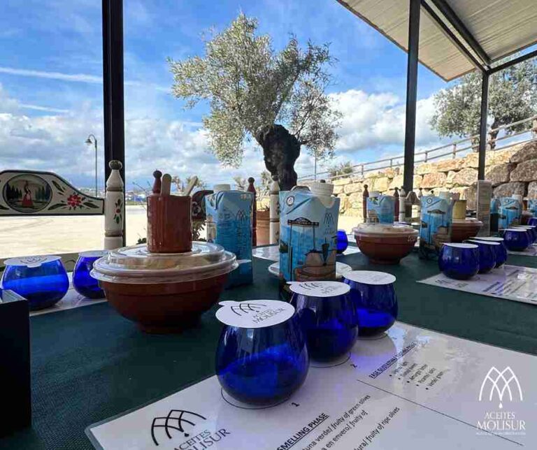 molino aceitero molisur visita guiada 3 1 768x644