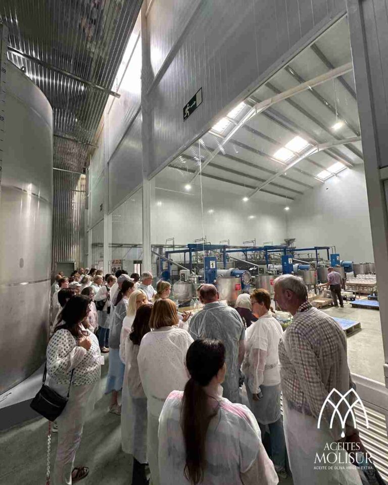 molino aceitero molisur visita guiada 4 1 768x960
