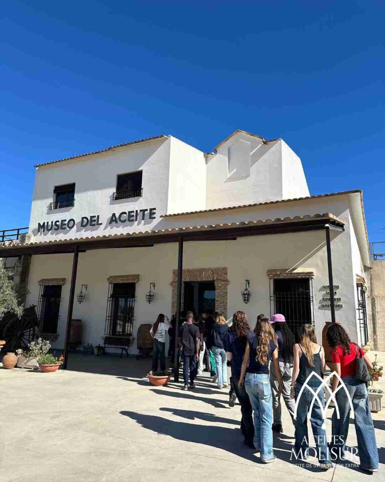 molino aceitero molisur visita guiada 6 1 768x960
