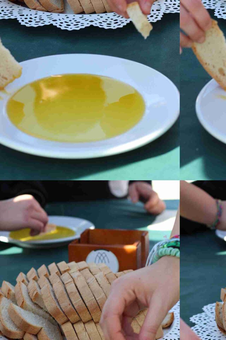 molino aceitero molisur visita guiada 7 1 768x1152