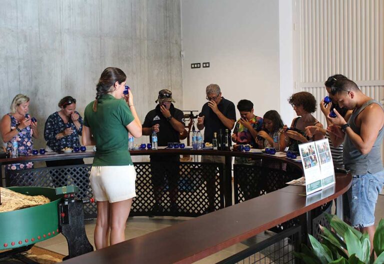 oleoturismo en malaga 4 768x528