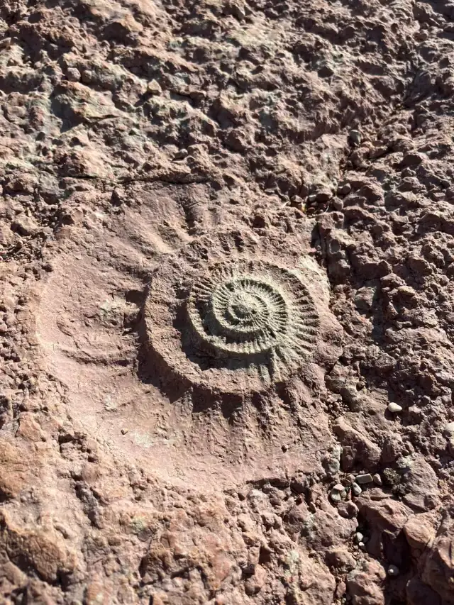 Visita Geologica Torcal Antequera 7 resultado 1