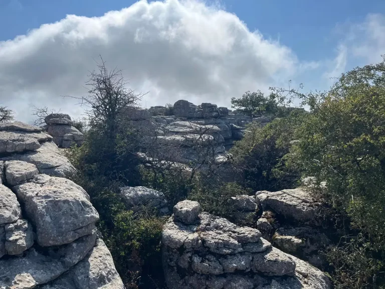 Visita Geologica Torcal Antequera 8 resultado 1 768x576