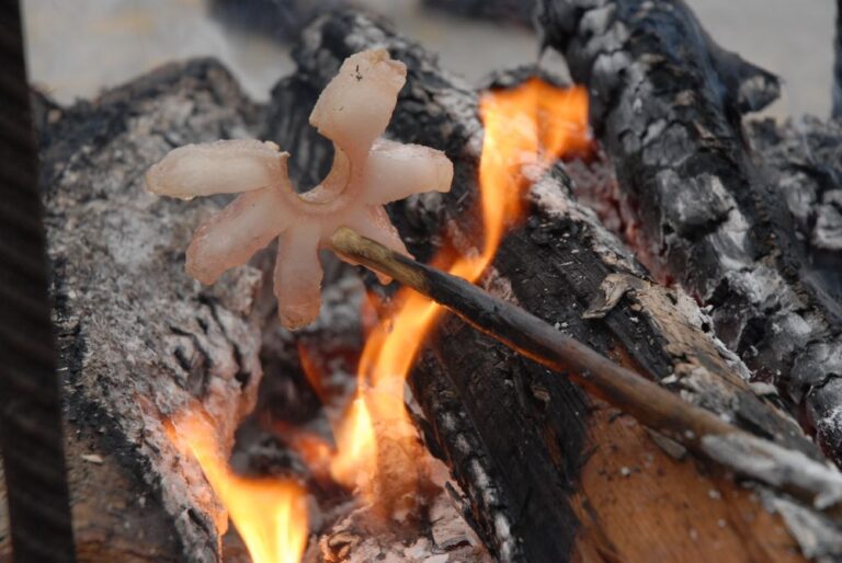 excursion a matanza de ardales desde malaga y axarquia 8 1 768x514