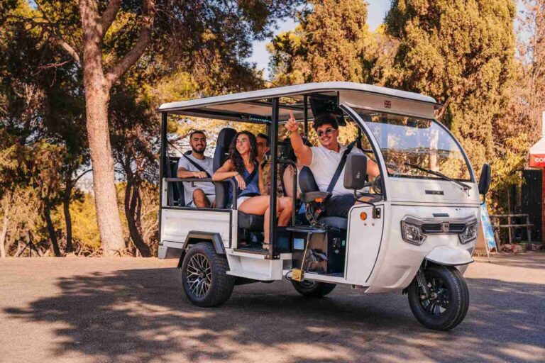 tour tuktuk con degustacion espetos de sardinas 2 768x512