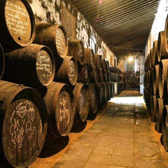 Jerez desde malaga Costa del Sol 2