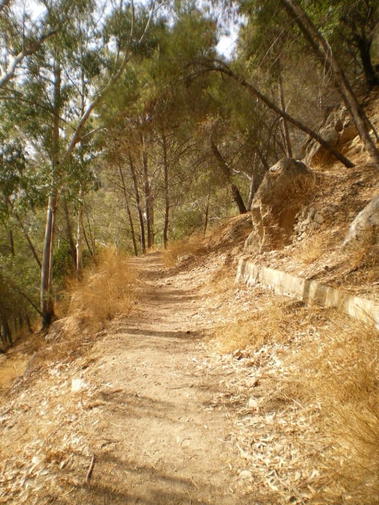 Taller iniciacion en montana y trail running 1 1 768x1024