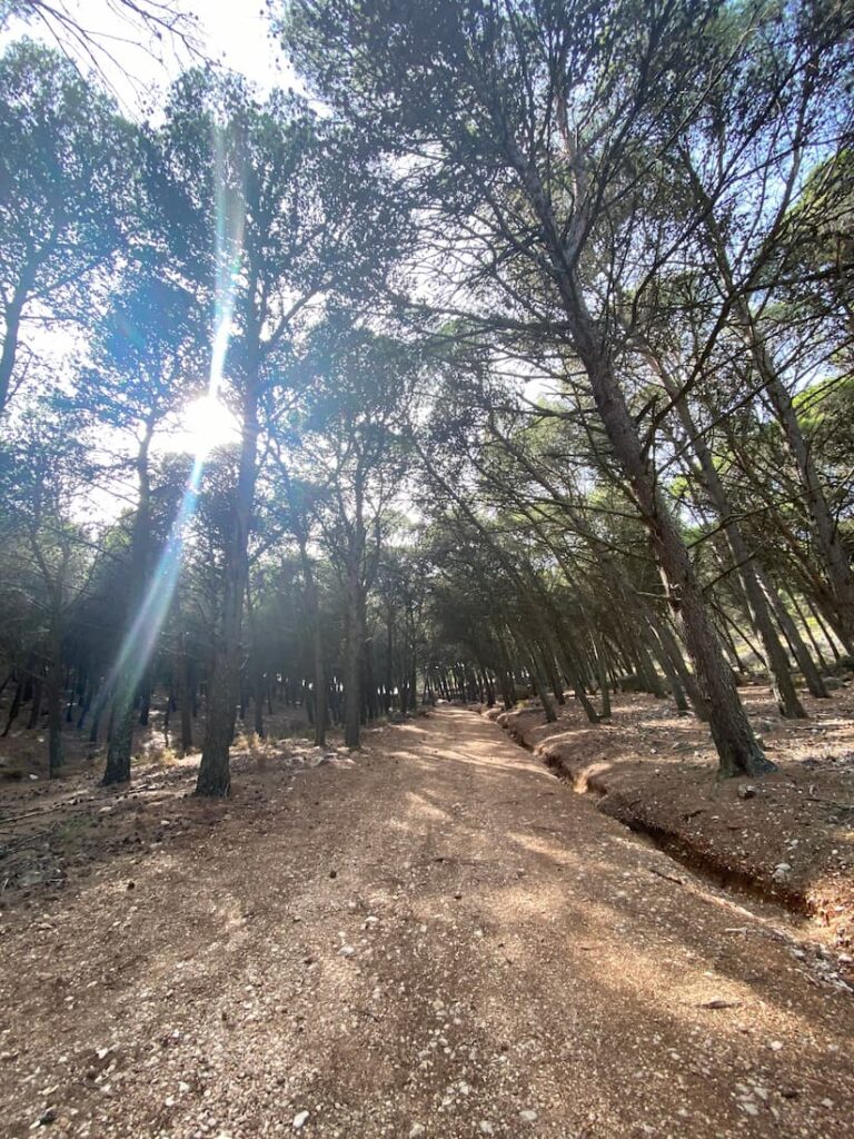 Taller iniciacion en montana y trail running 3 1 768x1024