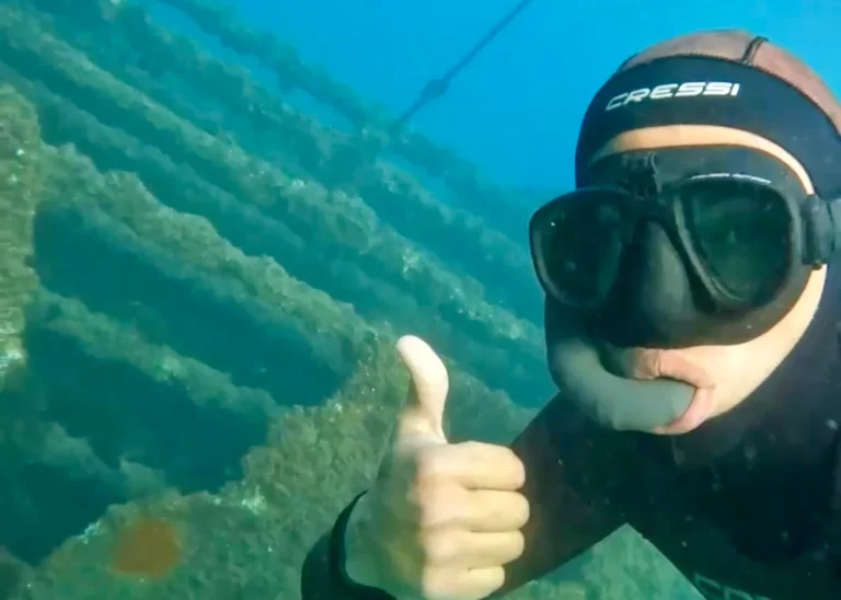 excursion en barco con snorkel 1 1 768x548