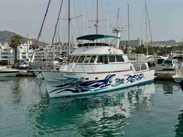 excursione en barco desde benalmadena 2 1 768x576