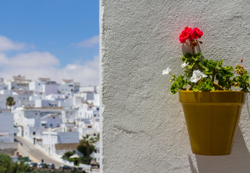 Día de Andalucía: celebraciones