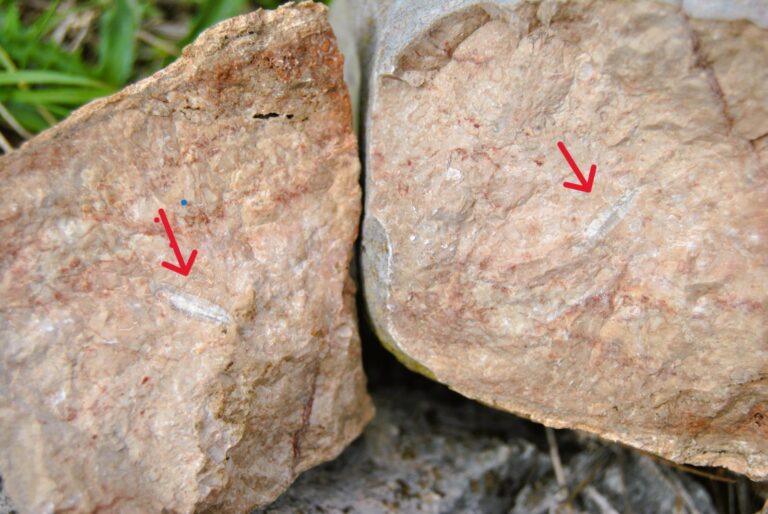 Piedra ancestral 768x514