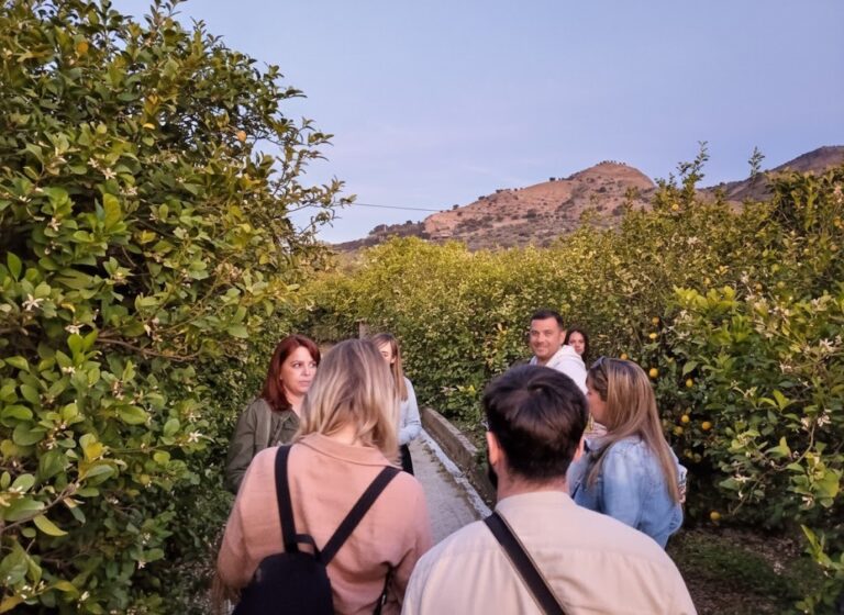Ruta Nocturna en el Valle del Azahar 3 768x560