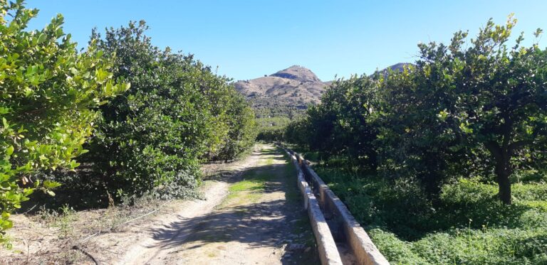 Ruta al atardecewr en el Valle del Azahar 7 768x373