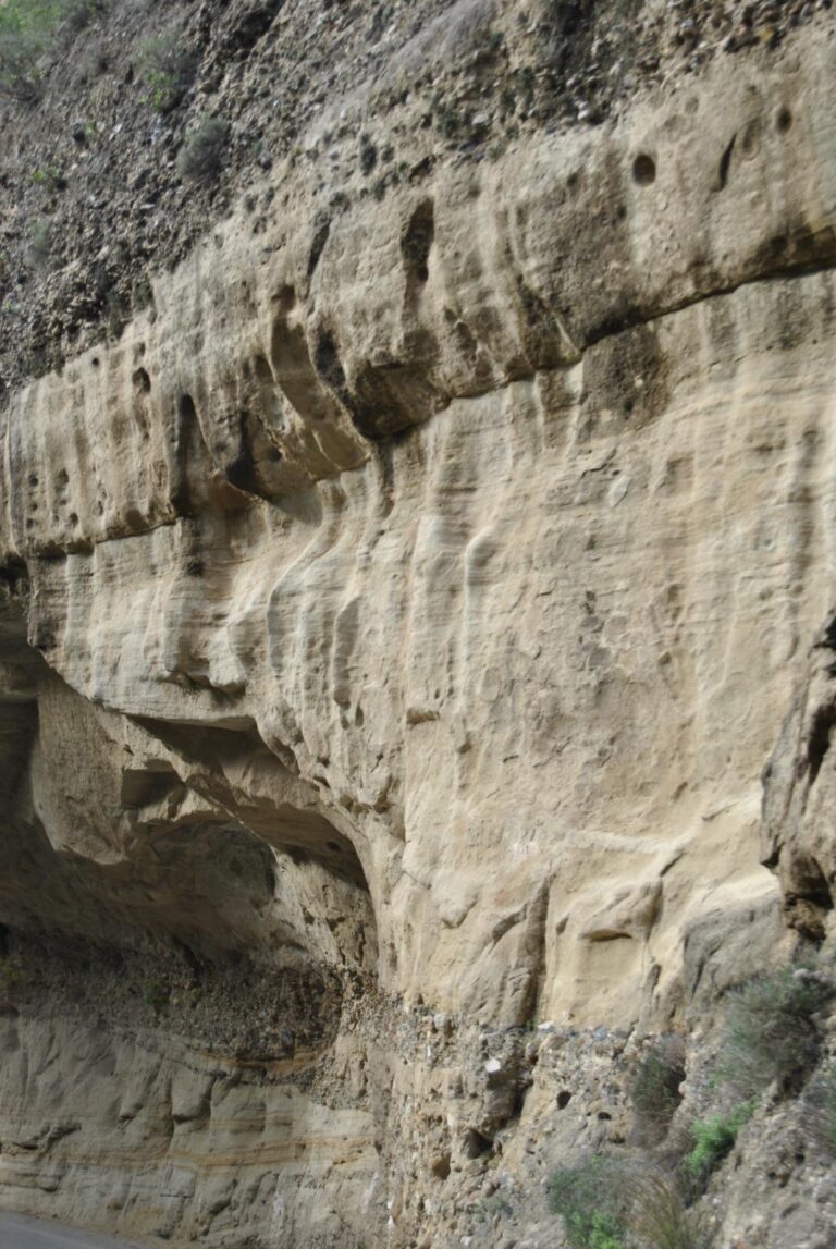 Tafonis 768x1147
