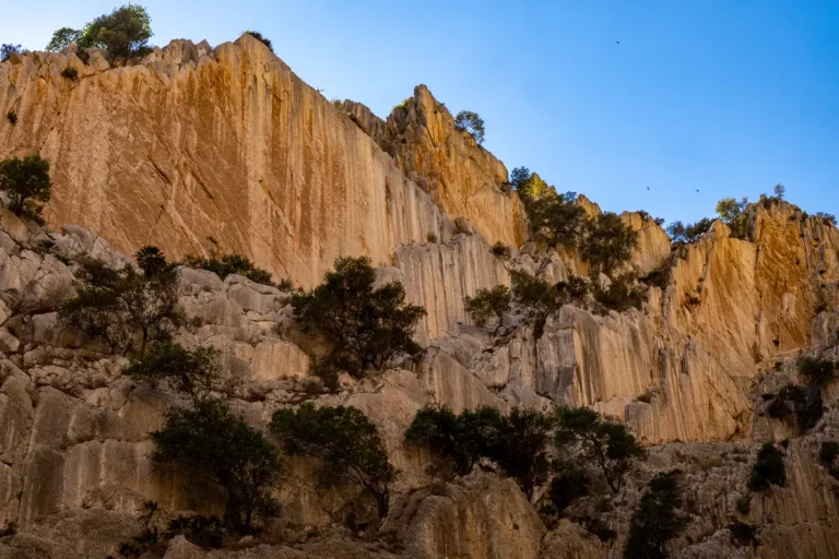 montanas ruta senderismo visita guiada caminito del rey 768x512