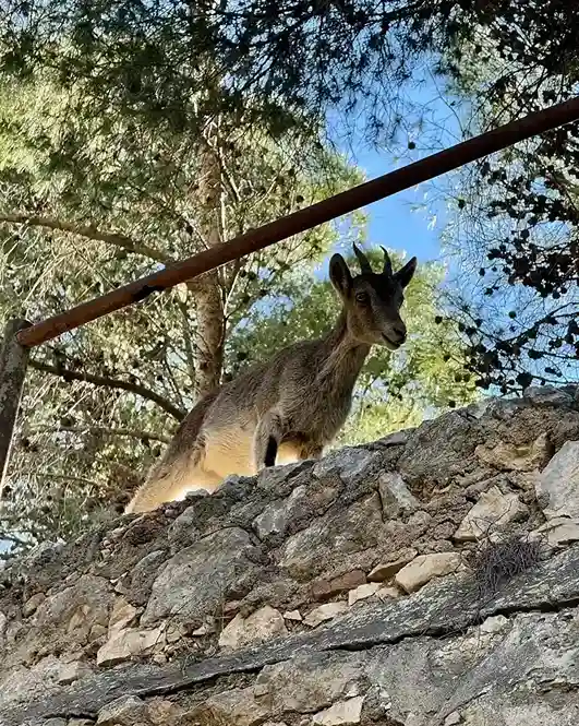 caminito del rey con parada en ardales 2 10 11zon