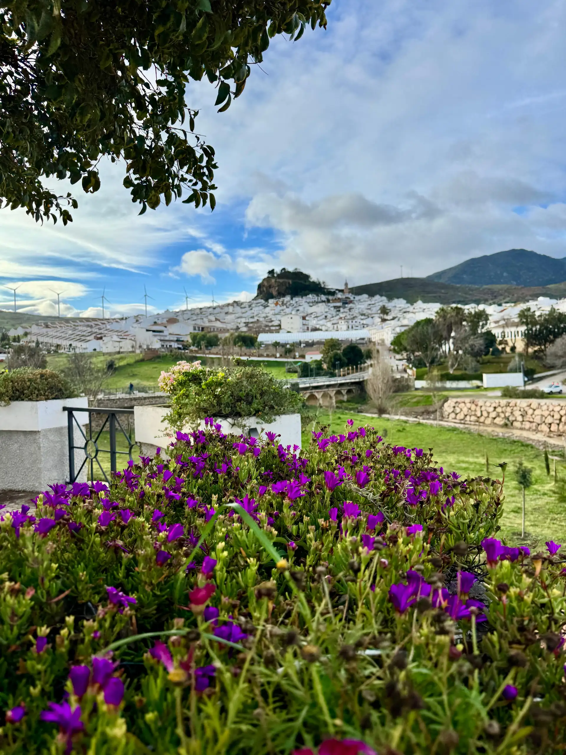 Caminito del rey con parada en ardales