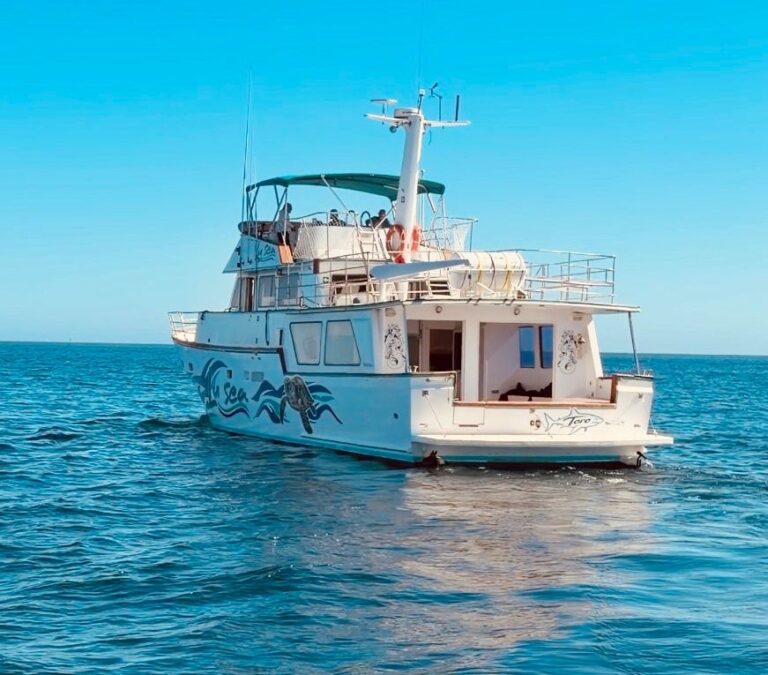 excursion en barco desde benalmadena con tobogan xxl y actividades acuaticas 10 768x675