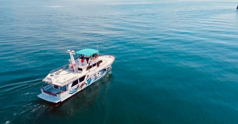 excursion en barco desde benalmadena con tobogan xxl y actividades acuaticas 2 768x403
