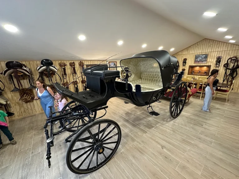 Museo del caballo 768x576