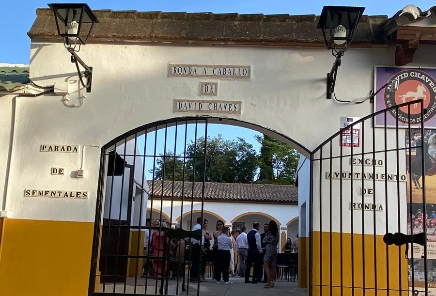 VISITAS DIARIAS