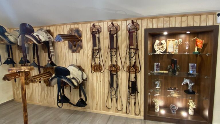 inauguracion ronda a caballo 14 1 768x432