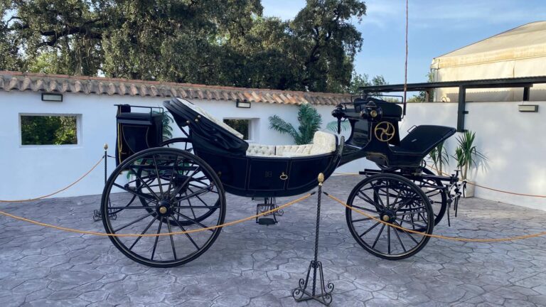 inauguracion ronda a caballo 15 1 768x432