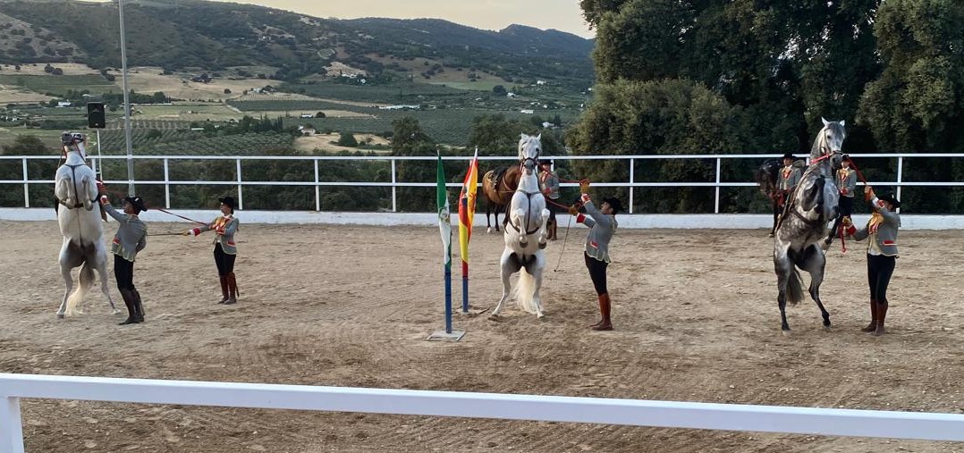 espectáculo ecuestre en Ronda