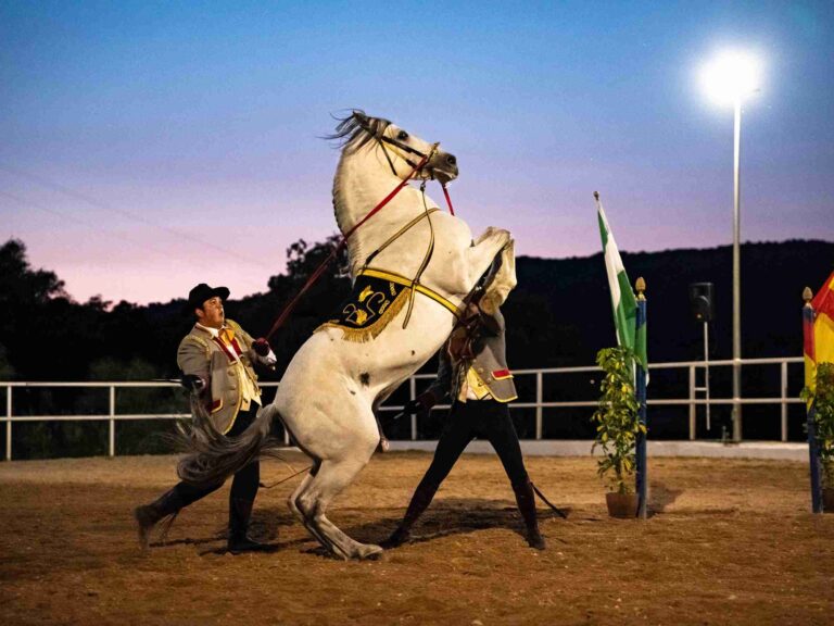 ronda a caballo espectaculo ecuestre 10 768x576