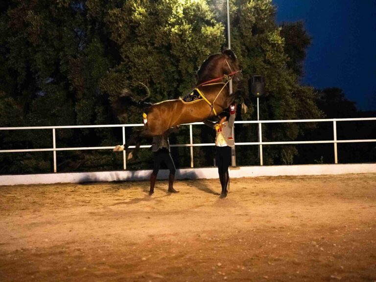 ronda a caballo espectaculo ecuestre 11 768x577