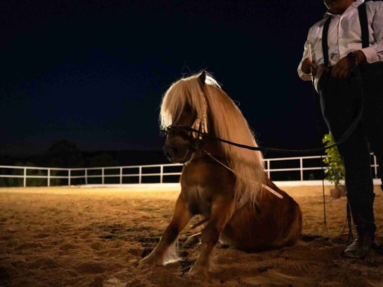 ronda a caballo espectaculo ecuestre 13 scaled 1 768x577