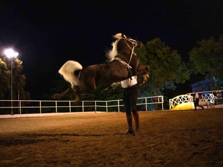 ronda a caballo espectaculo ecuestre 14 scaled 1 768x576
