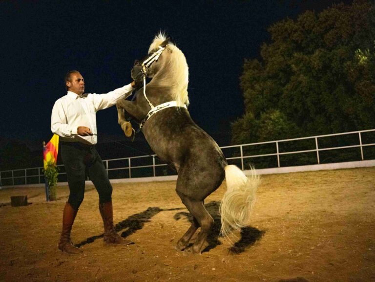 ronda a caballo espectaculo ecuestre 15 768x577