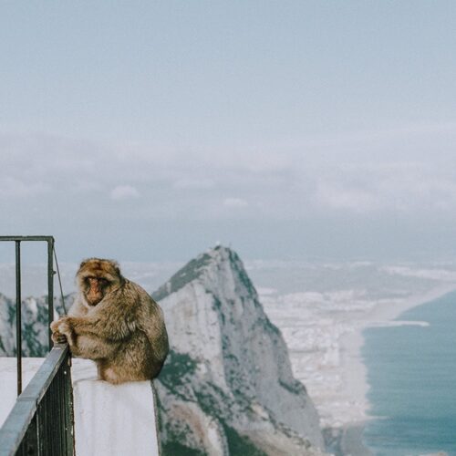 excursion-marbella-gibraltar