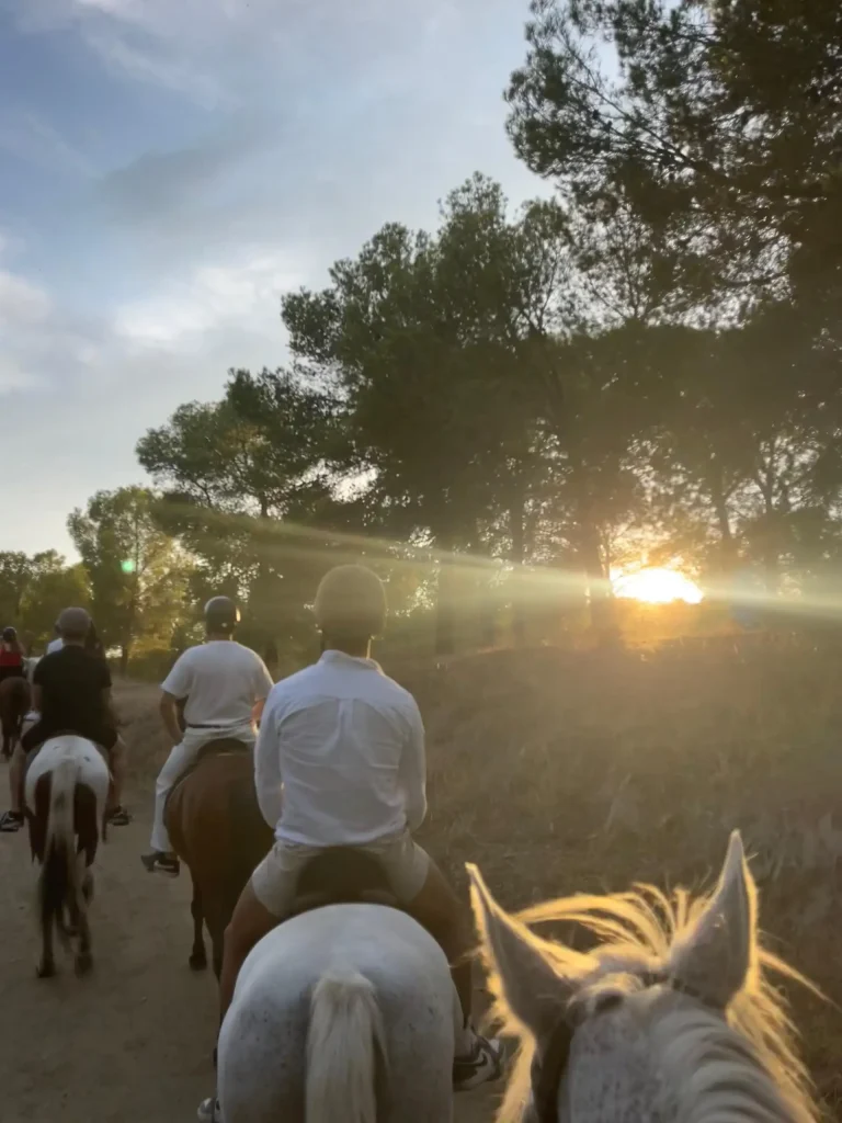 Ruta a caballo por Montes de Malaga 1 768x1024