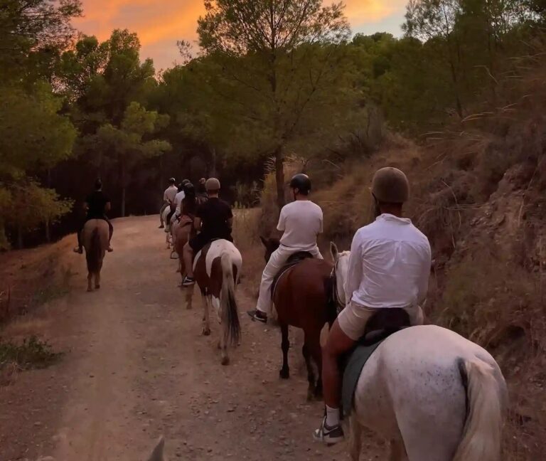 Ruta a caballo por Montes de Malaga 3 768x648