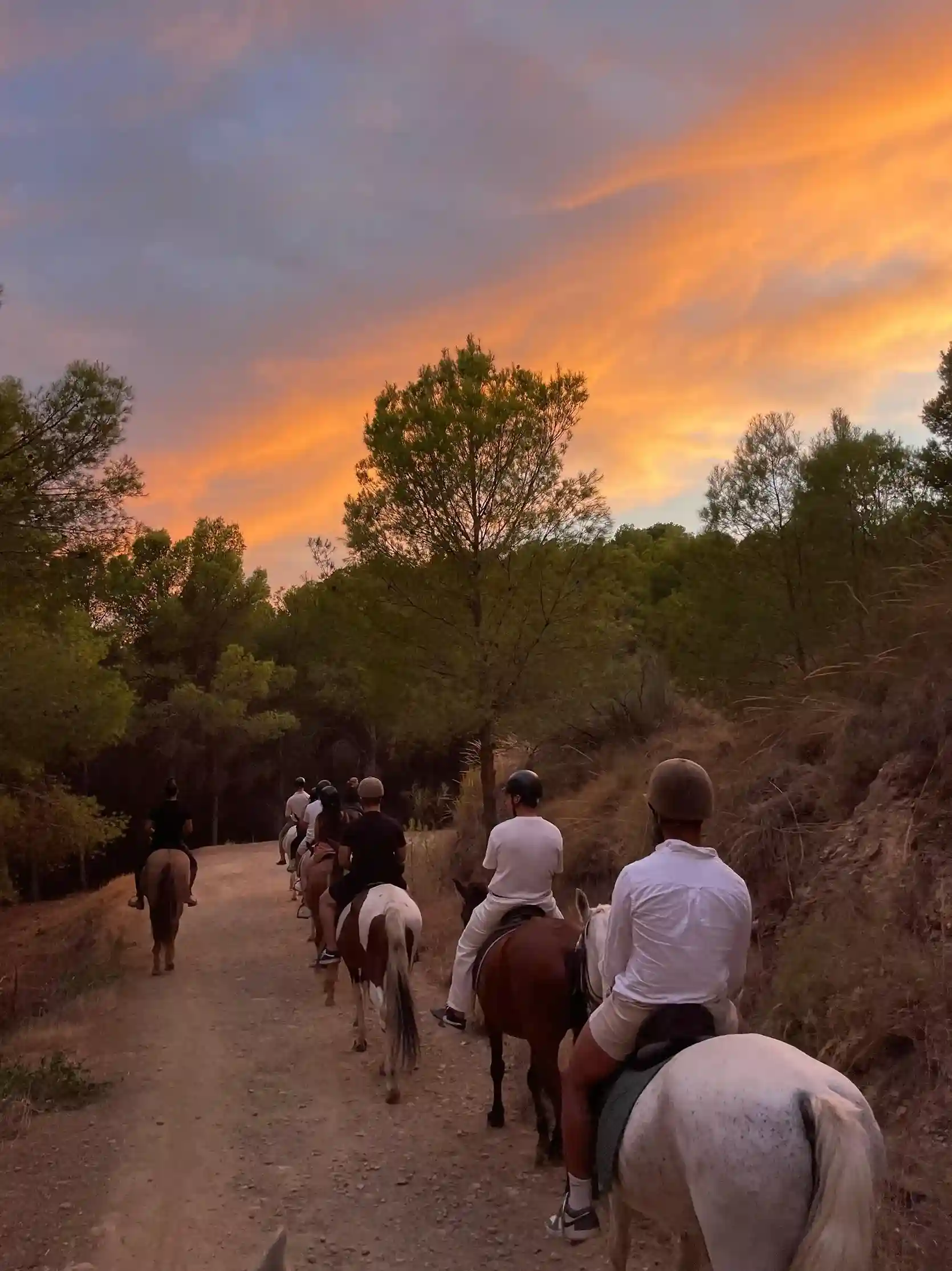 Ruta a caballo por Montes de Málaga