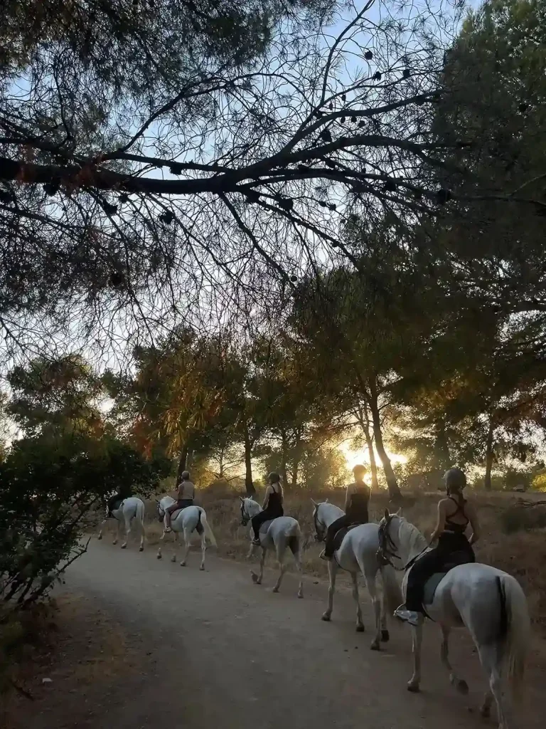 Ruta a caballo por Montes de Malaga 5 768x1024