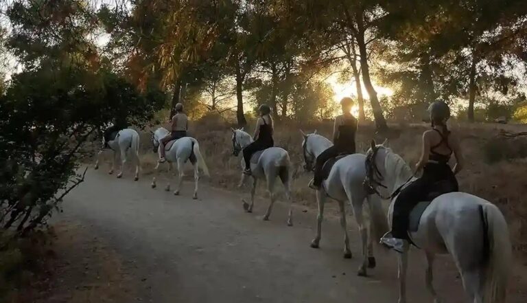Ruta a caballo por Montes de Malaga 5 768x441