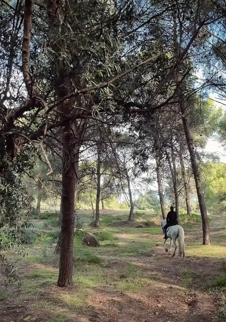 Ruta a caballo por Montes de Malaga 6 1 768x1096