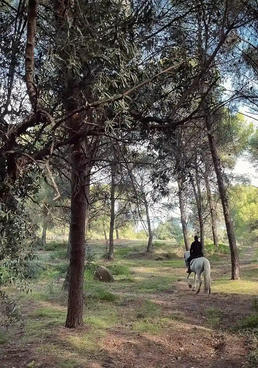 Ruta a caballo por Montes de Málaga