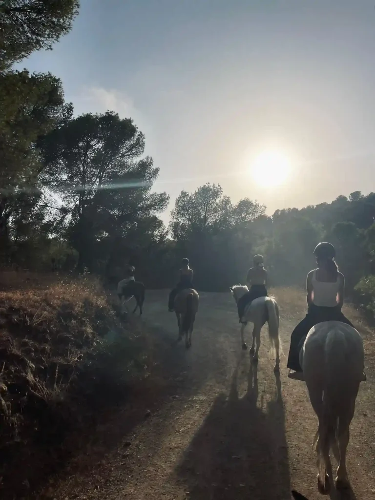 paseo a caballo por Montes de Malaga 3 768x1024