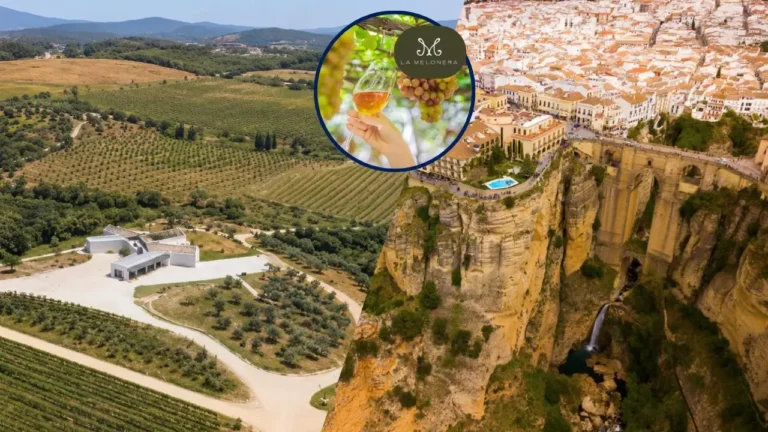 Experiencia gastronomica en helicoptero 2