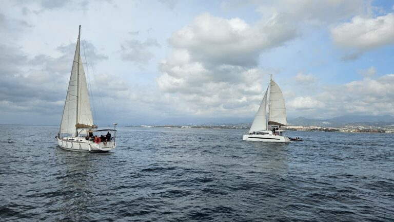 regata team building puerto banus 3 768x432