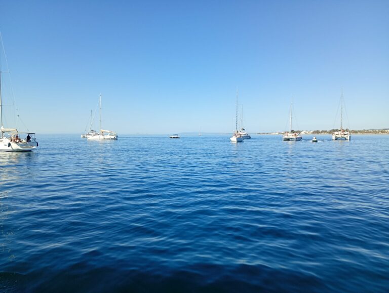 regata team building puerto banus 5 768x578