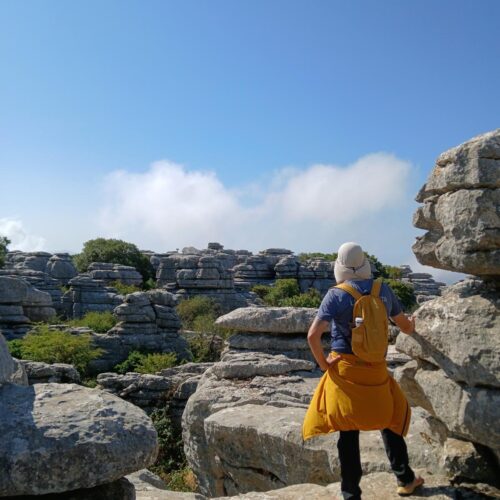 vistas torcal antequera