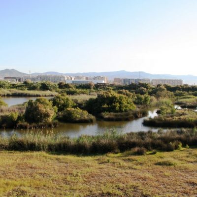 Corredor verde del guadalhorce desembocadura